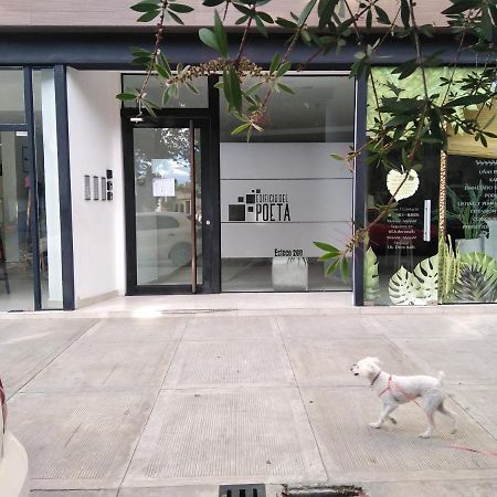 Cony Lee Esteco Apartment ซัลตา ภายนอก รูปภาพ